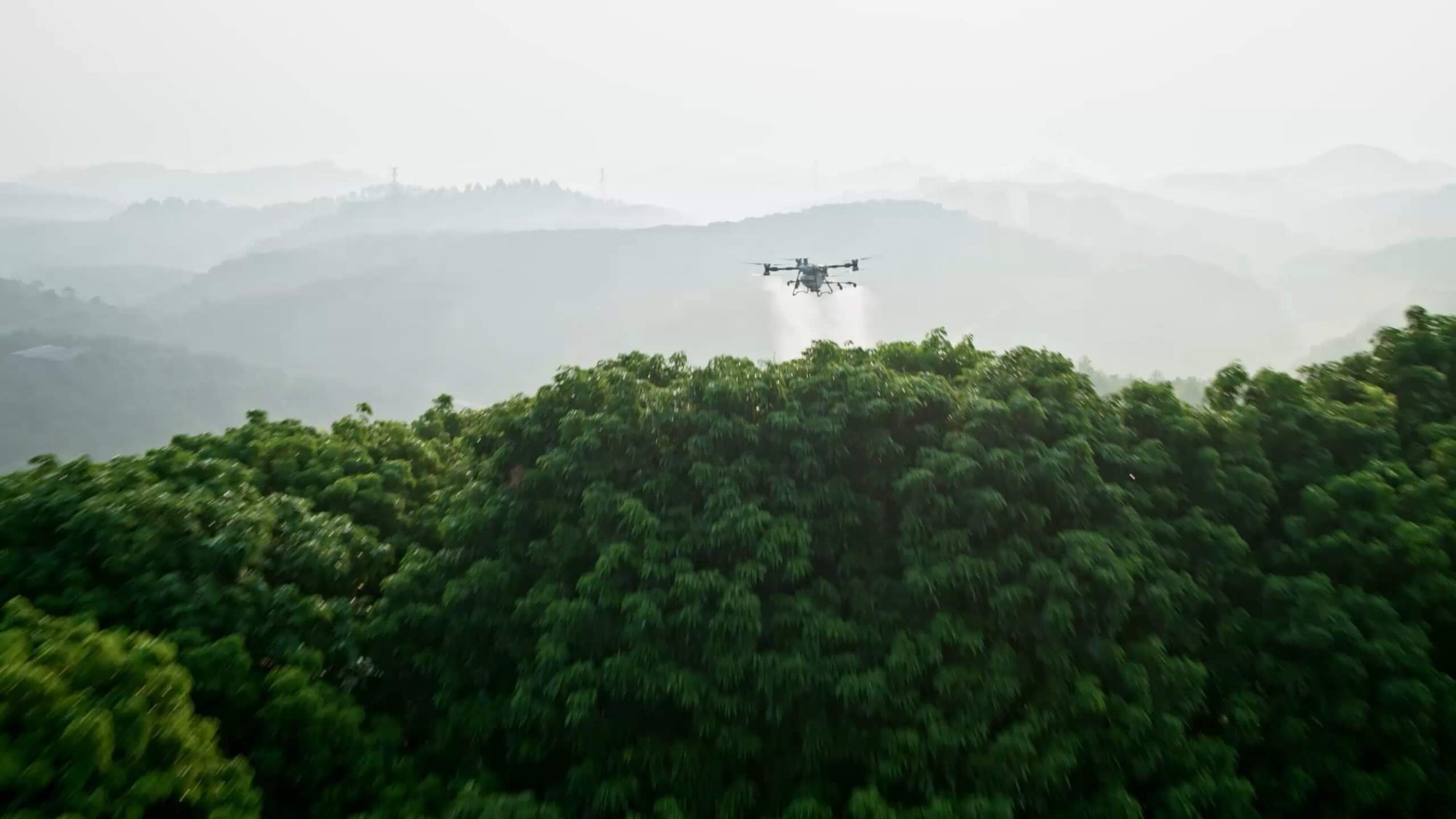 6e0158f3b5cb031e98055ed4b9373601